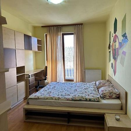 Central Apartment No1 Тимишоара Екстериор снимка