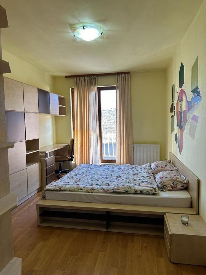 Central Apartment No1 Тимишоара Екстериор снимка
