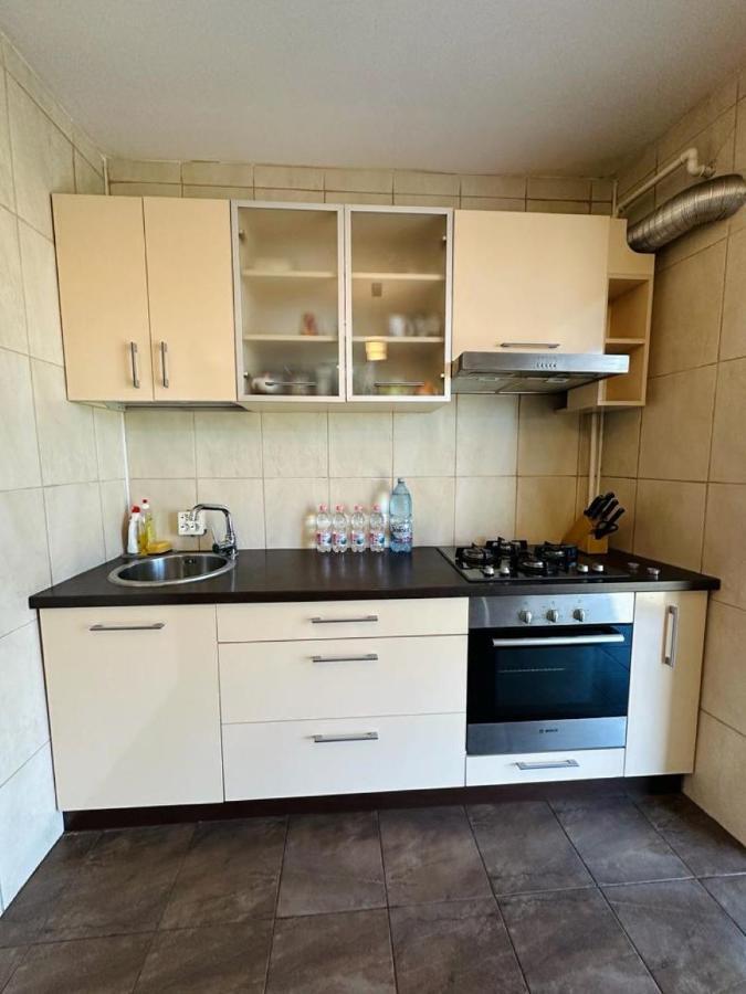 Central Apartment No1 Тимишоара Екстериор снимка