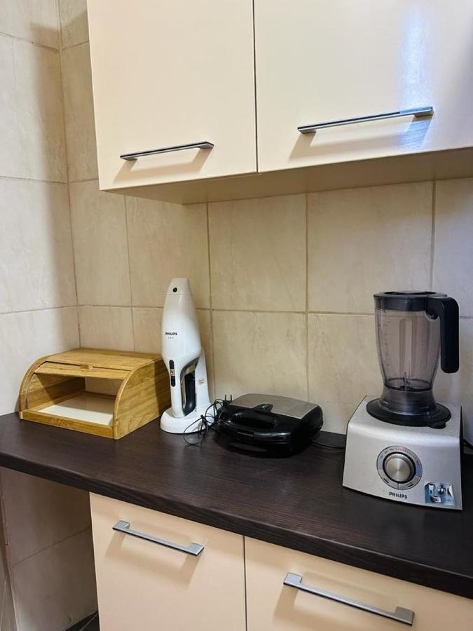 Central Apartment No1 Тимишоара Екстериор снимка